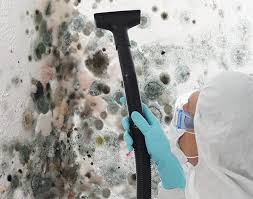 Reliable Medulla, FL Mold Removal & Remediation Solutions